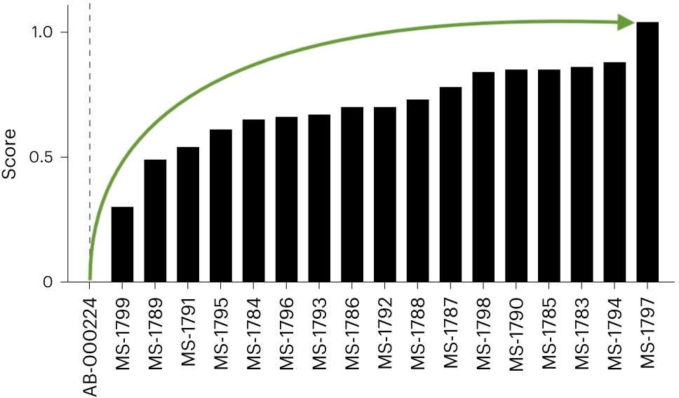 Biophysical Properties